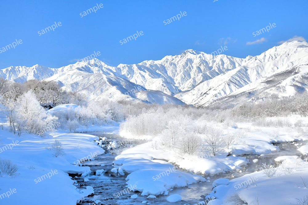 五竜岳と霧氷（白馬村）