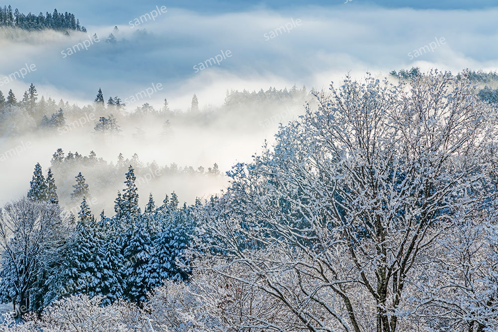 雪華の山里（池田町）