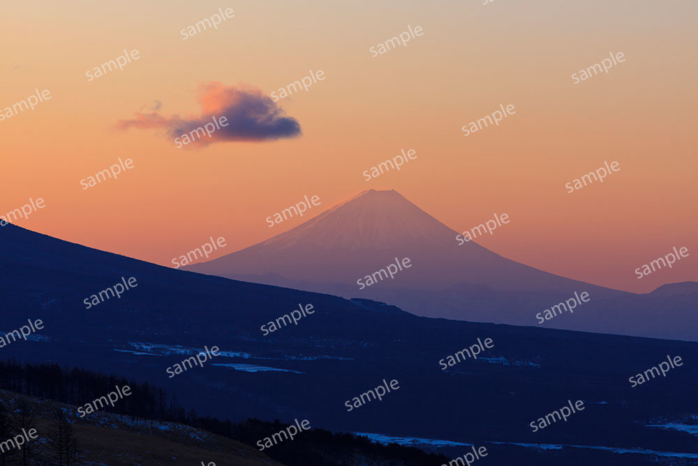 朝焼け富士に鳥が舞う（霧ヶ峰高原）