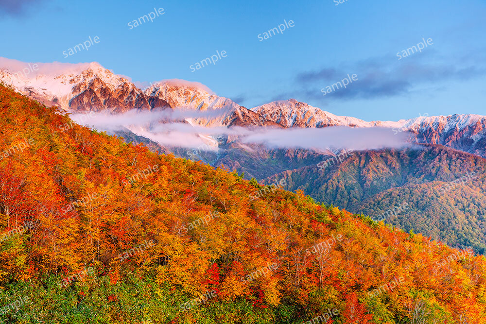 八方尾根の紅葉と白馬三山（白馬村）