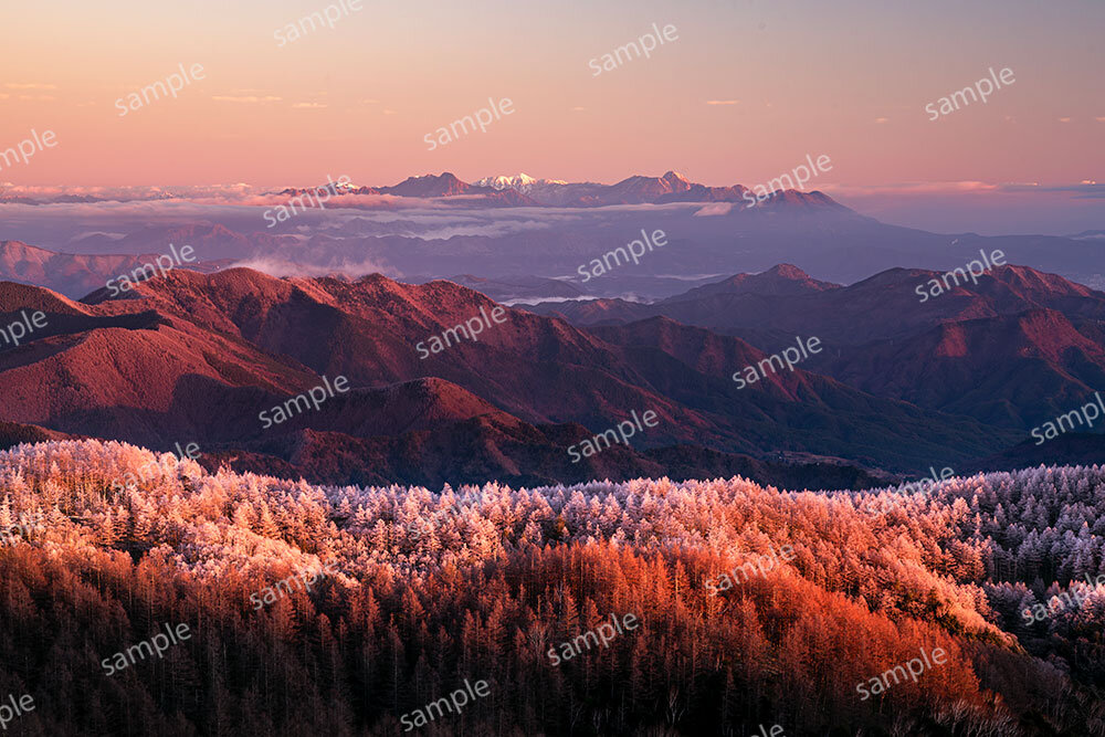 美ヶ原高原（美ヶ原高原）