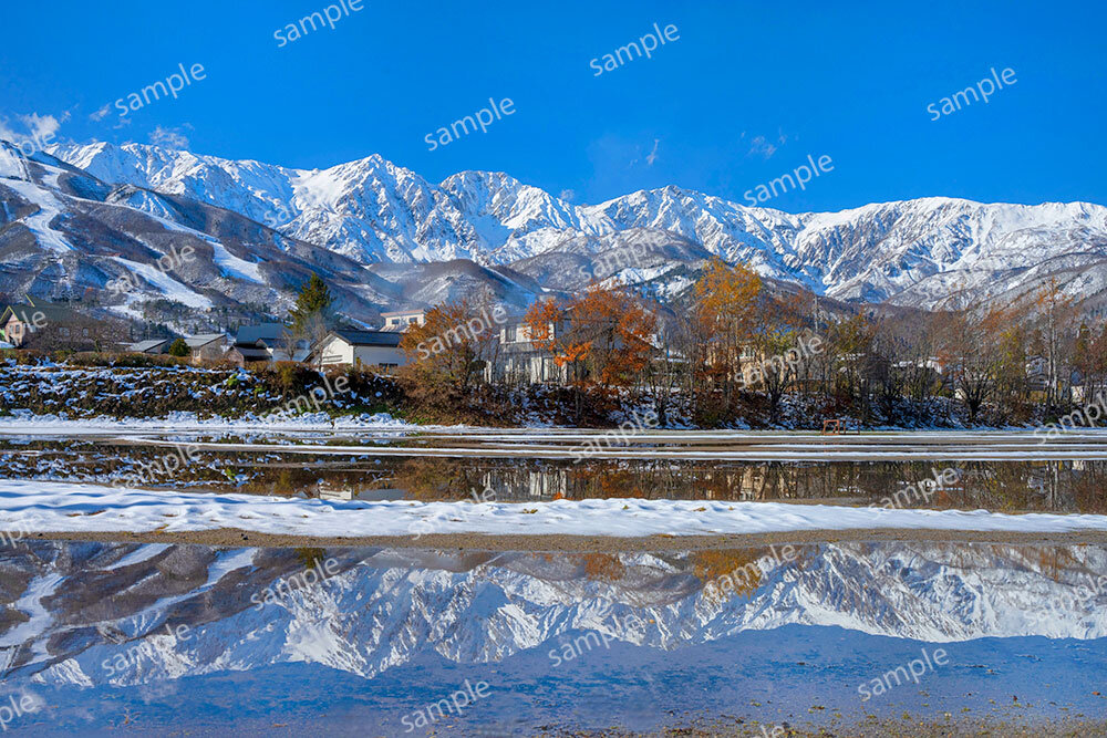初冬の白馬三山（白馬村）