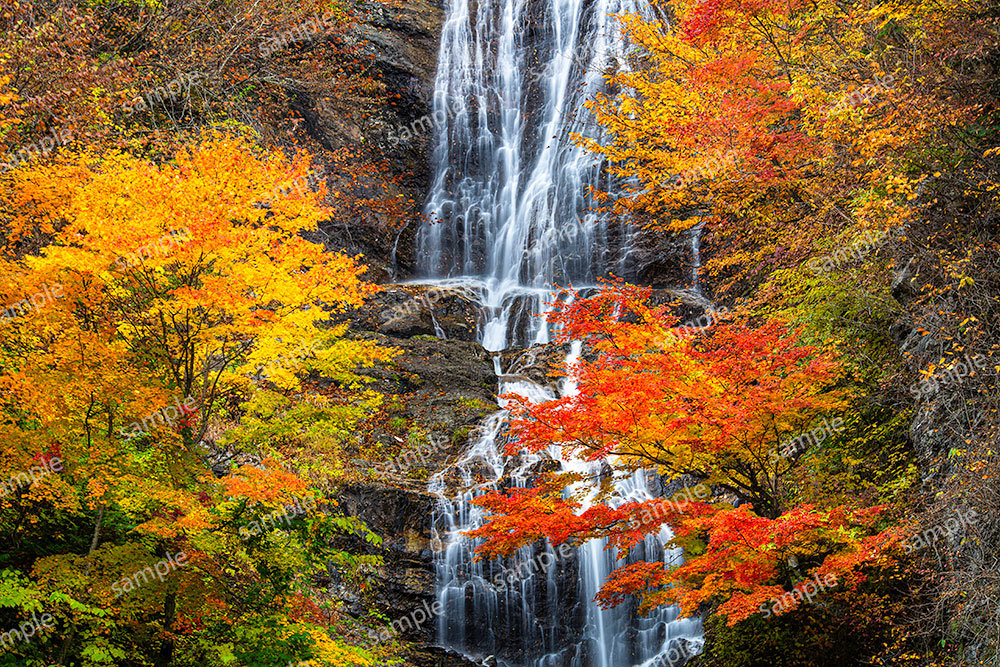 錦秋の滝(木曽町唐沢の滝)