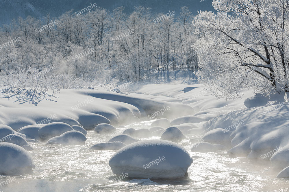 積雪の松川（白馬村）
