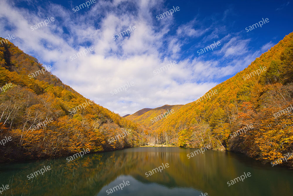 竜ヶ沢ダム(上田市巣栗渓谷)