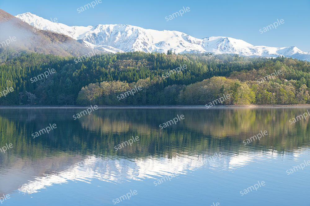 緑萌える青木湖（大町市）