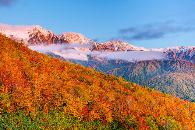 八方尾根の紅葉と白馬三山（白馬村）