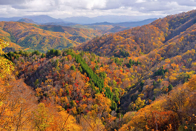 中山高原の紅葉（大町市）