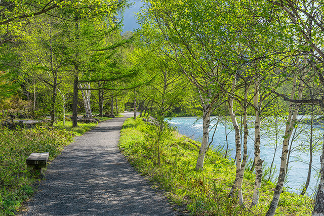 梓川のほとりの遊歩道（松本市）