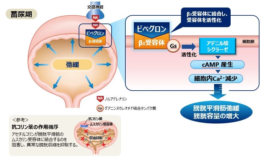ベオーバ錠 Q&A | キッセイ薬品工業株式会社
