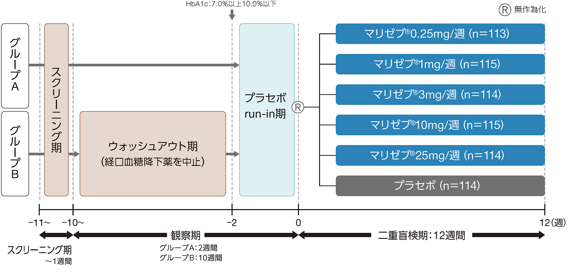 国際共同後期第Ⅱ相臨床試験（用量設定試験）の画像