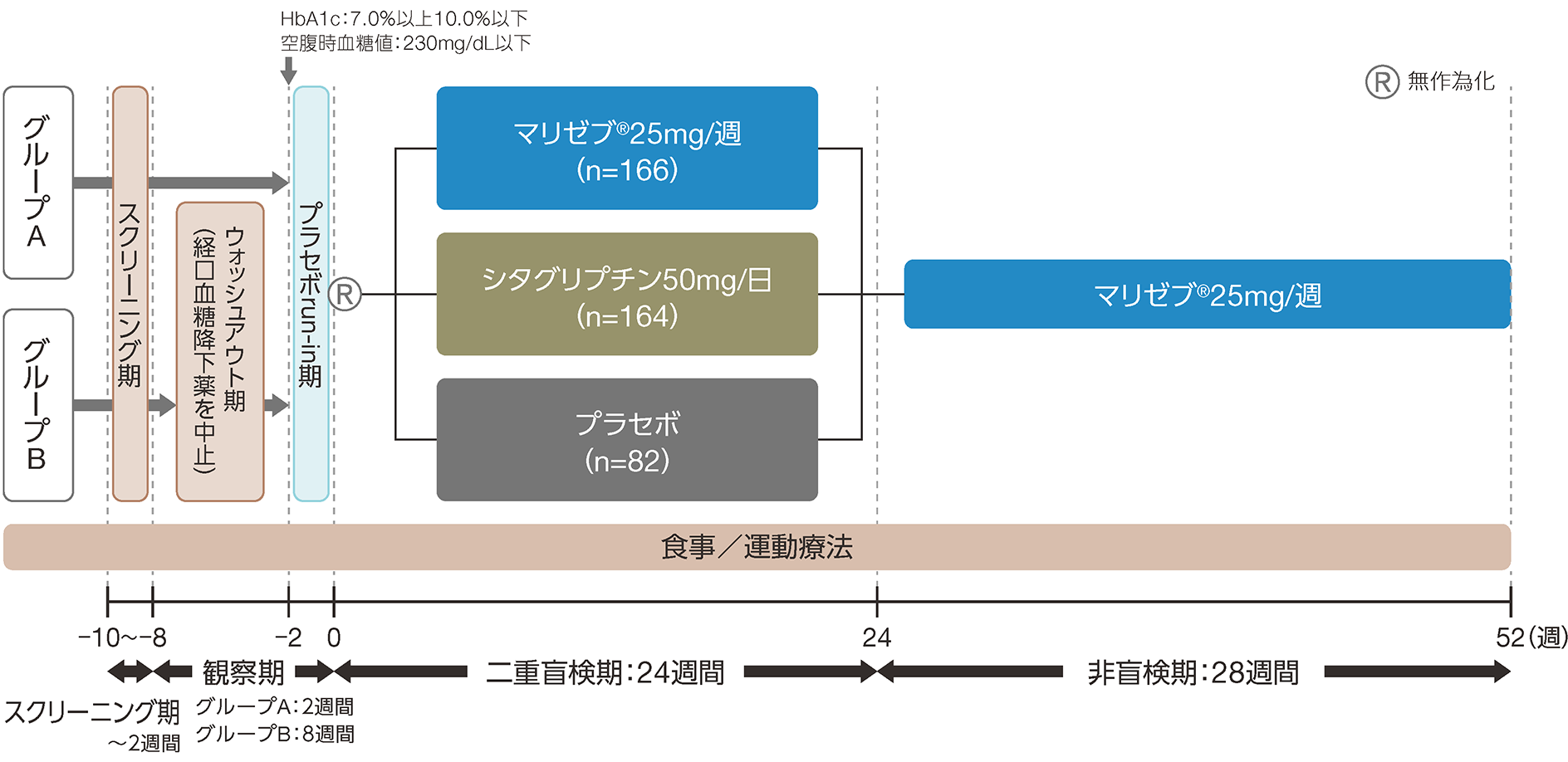 第Ⅲ相無作為二重盲検比較試験＋非盲検延長試験の画像