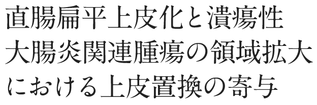 直腸扁平上皮化と潰瘍性大腸炎関連腫瘍の領域拡大における上皮置換の寄与