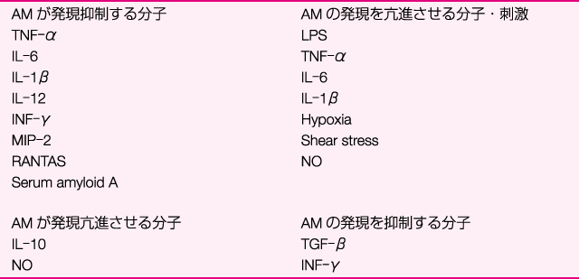 AM 発現を制御する分子の表画像