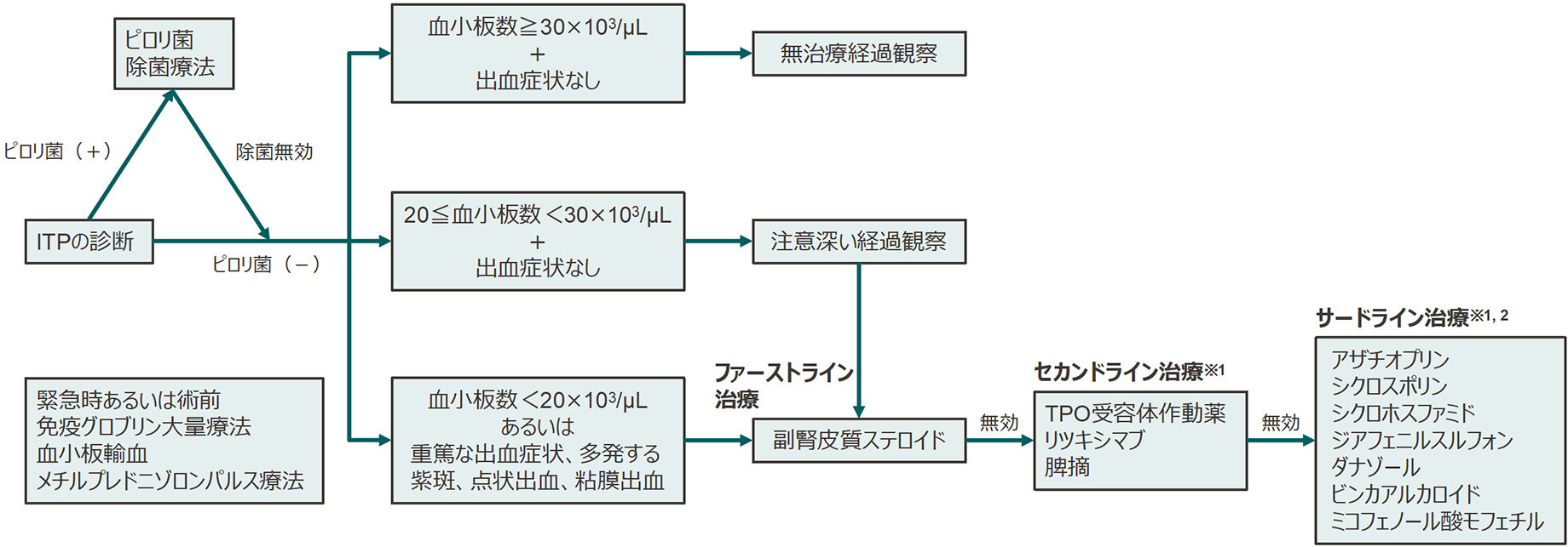 成人ITP治療の流れ