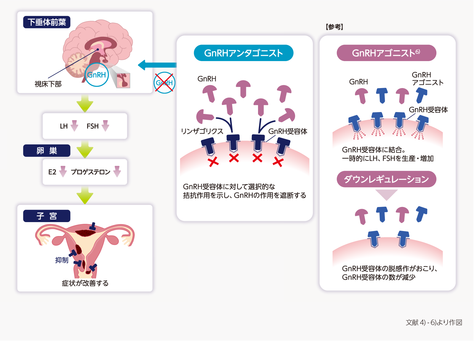 リンザゴリクスの作用機序