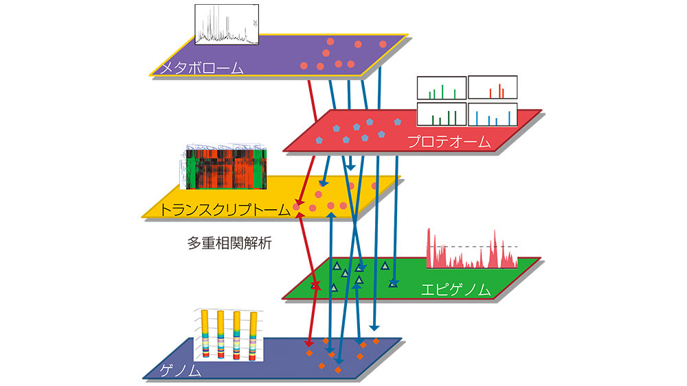 Review　糖尿病の発症と腸内細菌叢・腸内細菌代謝物との関連