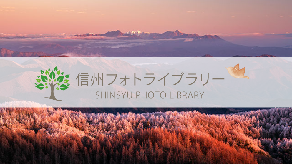 【フォト】美ヶ原高原（美ヶ原高原）