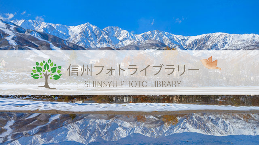 【フォト】初冬の白馬三山（白馬村）