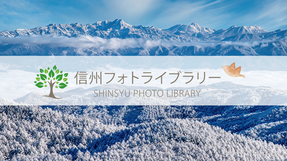 【フォト】聖山登山道から望む雲海と北信の山々（長野市大岡）