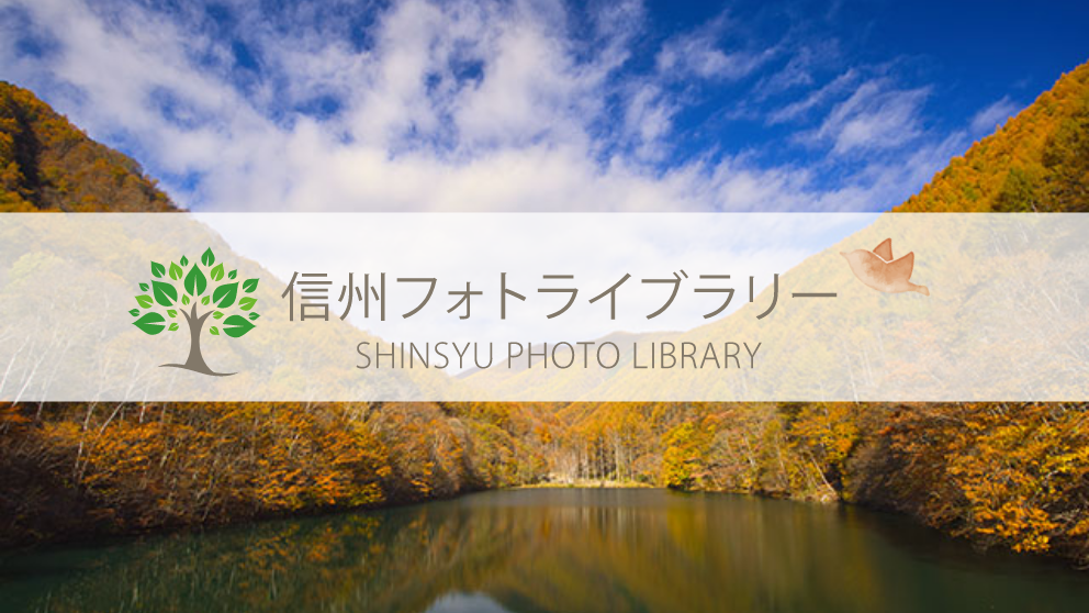 【フォト】竜ヶ沢ダム(上田市巣栗渓谷)