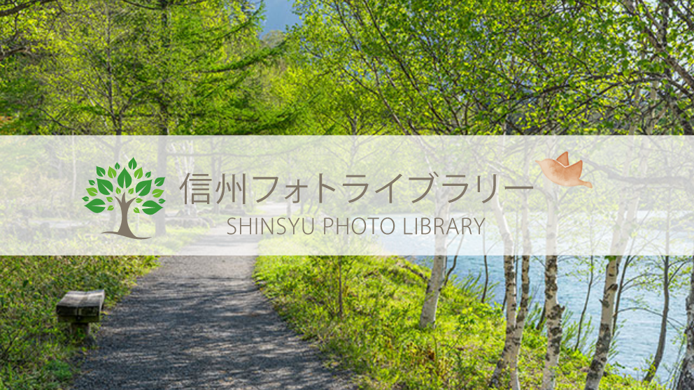 【フォト】梓川のほとりの遊歩道（松本市）