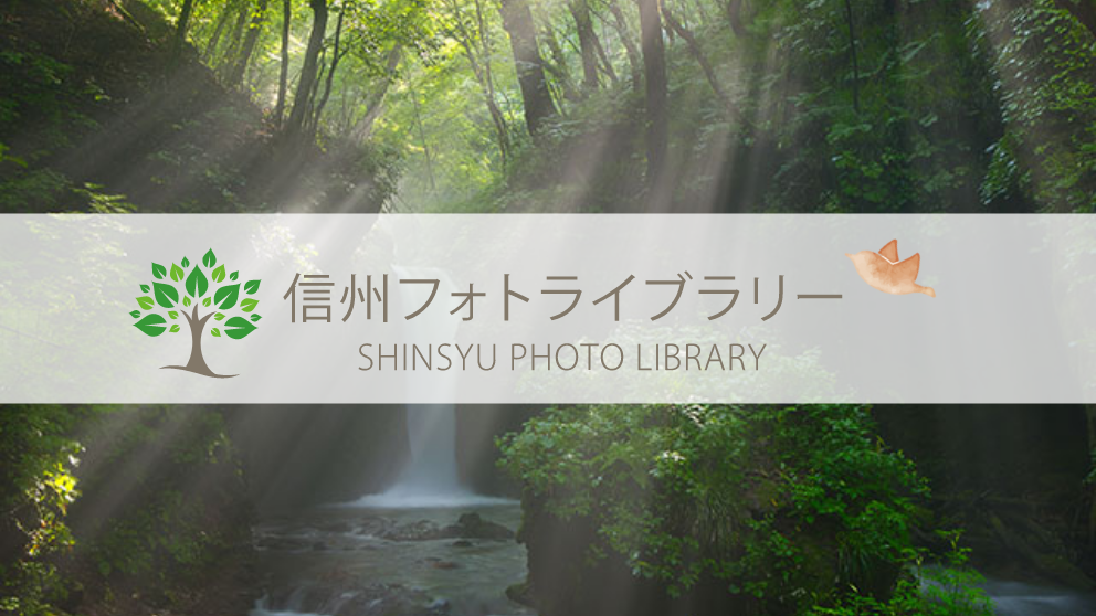 【フォト】竜返しの滝(軽井沢町)