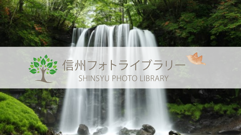 【フォト】ツツジ咲く唐沢の滝（上田市菅平高原）ダウンロードページ