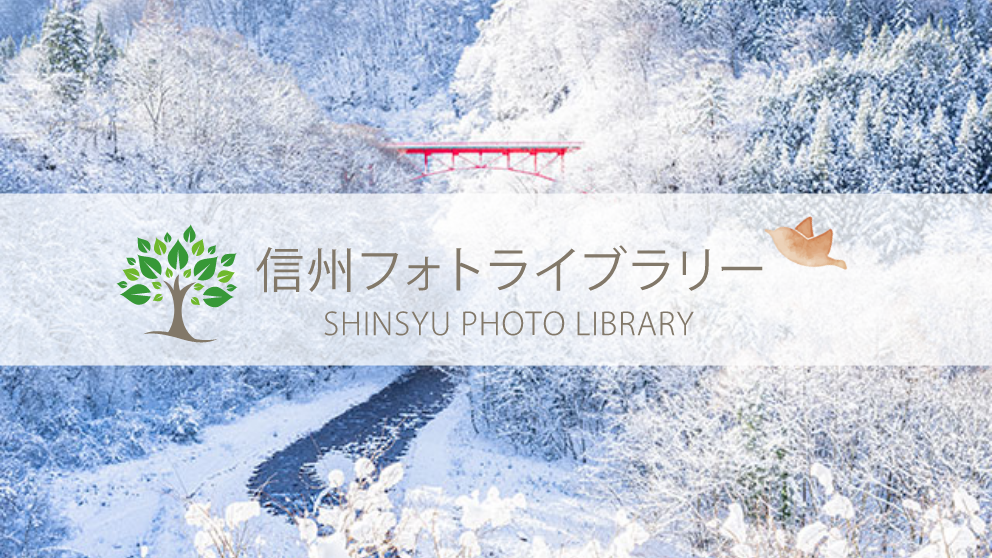 【フォト】松川渓谷（高山村）