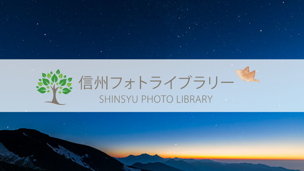 【フォト】乗鞍岳より夜明けの北アルプスと星空（松本市乗鞍岳）