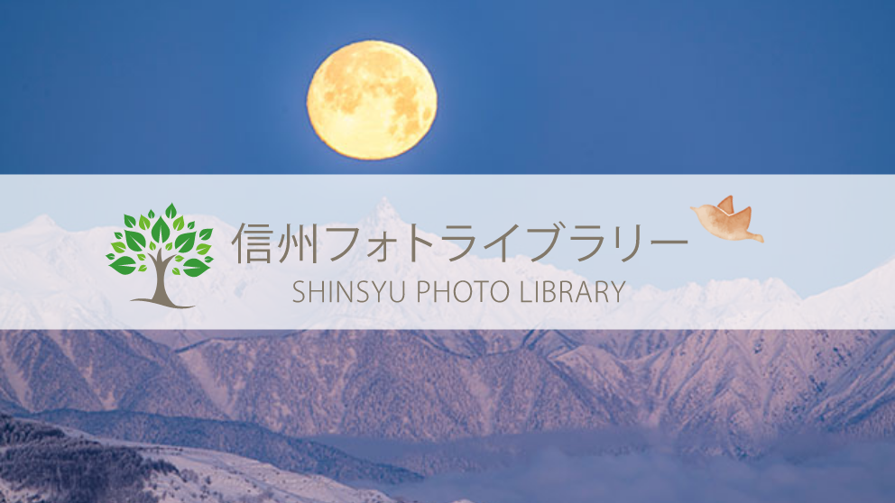 【フォト】槍ヶ岳に沈まんとする満月（霧ヶ峰高原）