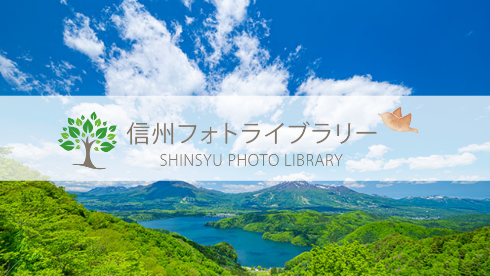 【フォト】野尻湖（信濃町）