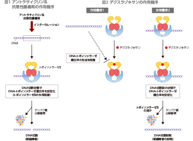 図1・図2